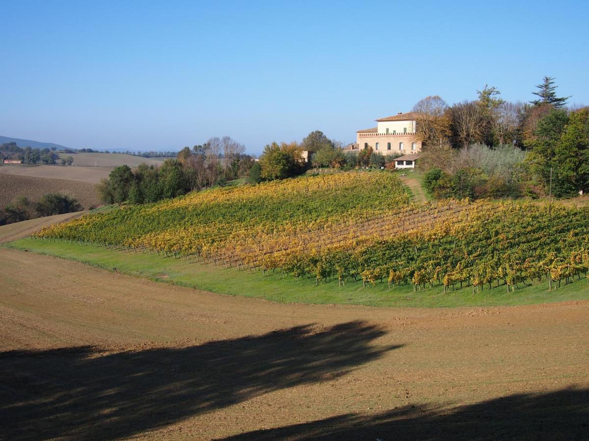 Agriturismo Poggiarellino - Montalcino Ngoại thất bức ảnh
