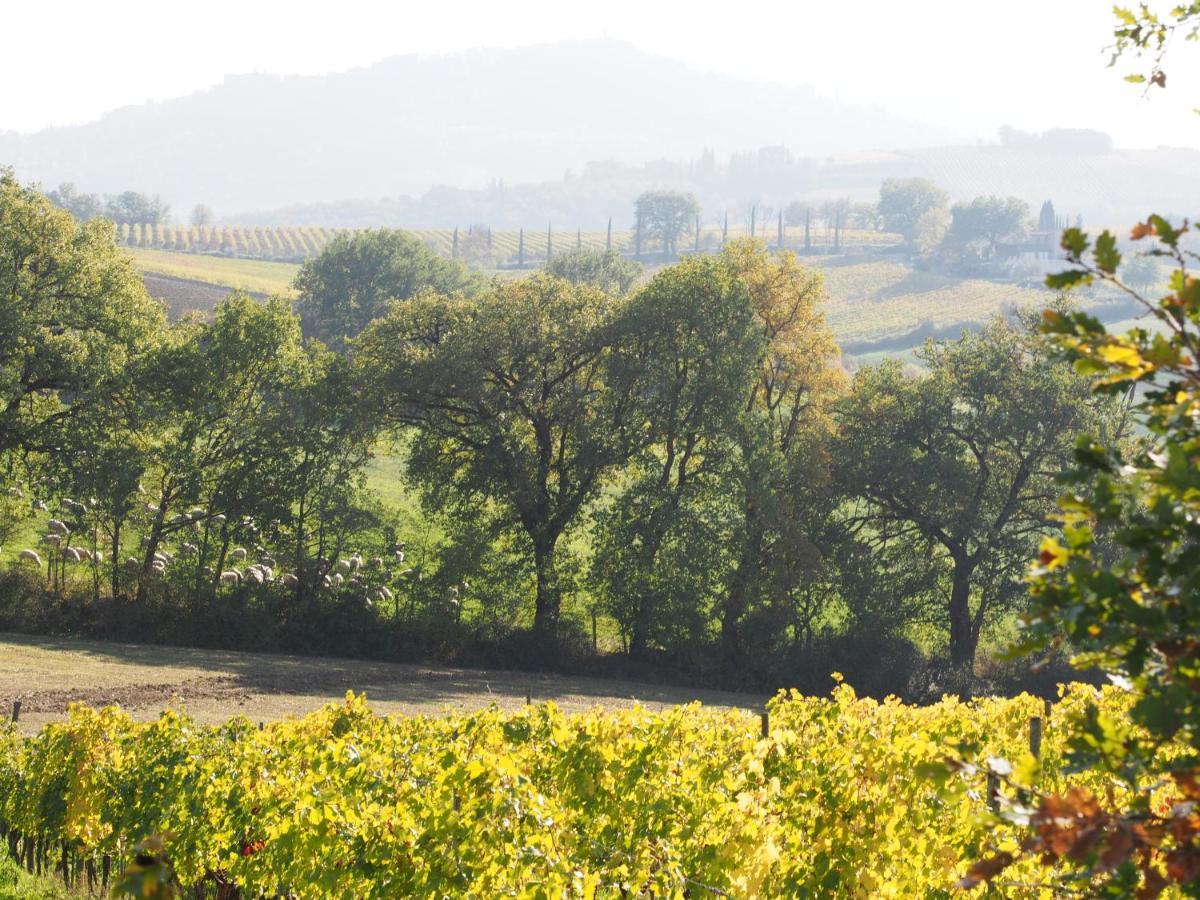 Agriturismo Poggiarellino - Montalcino Ngoại thất bức ảnh