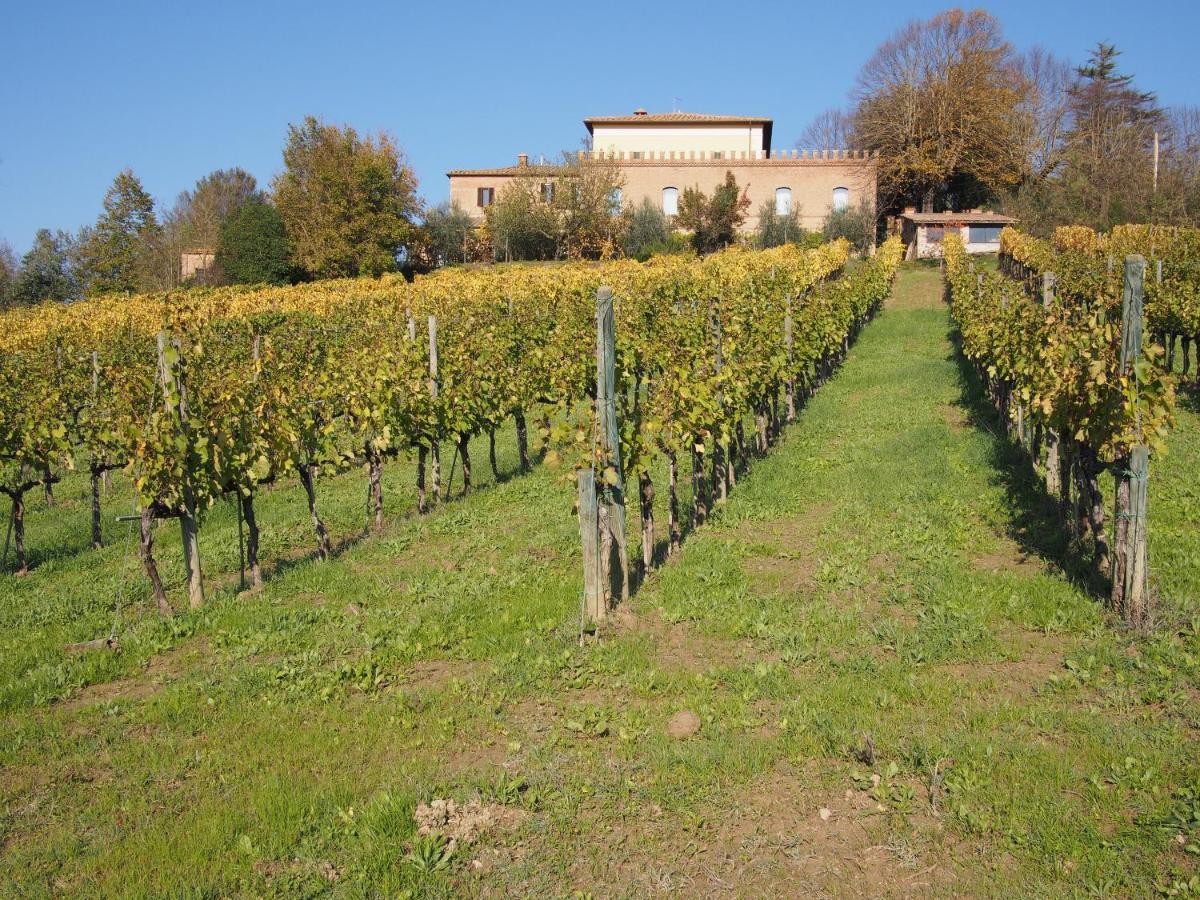 Agriturismo Poggiarellino - Montalcino Ngoại thất bức ảnh