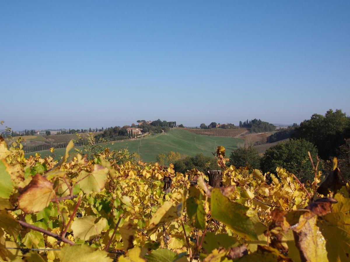 Agriturismo Poggiarellino - Montalcino Ngoại thất bức ảnh