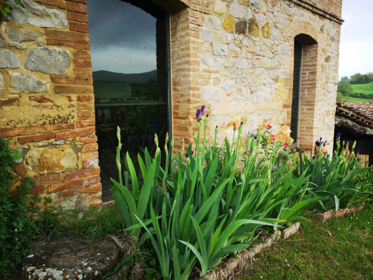 Agriturismo Poggiarellino - Montalcino Ngoại thất bức ảnh
