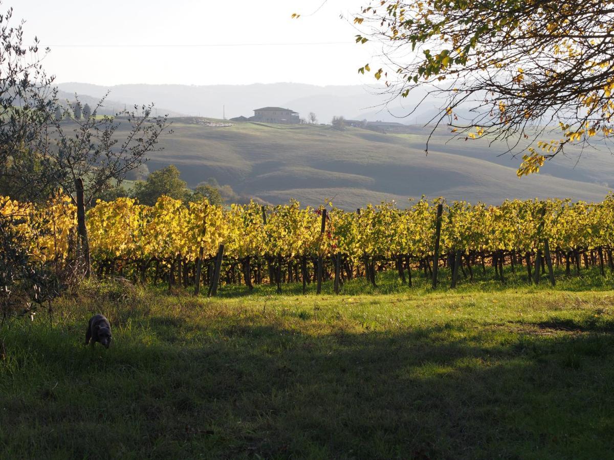 Agriturismo Poggiarellino - Montalcino Ngoại thất bức ảnh