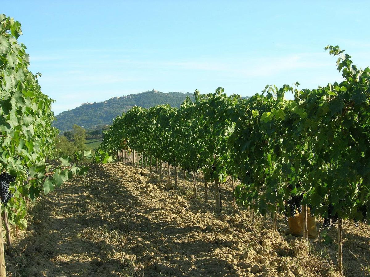 Agriturismo Poggiarellino - Montalcino Ngoại thất bức ảnh