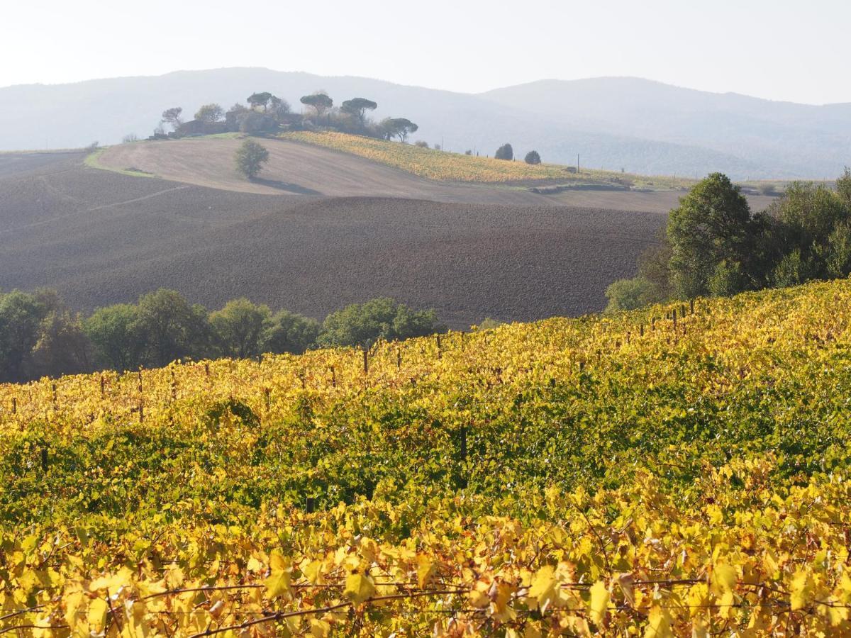Agriturismo Poggiarellino - Montalcino Ngoại thất bức ảnh